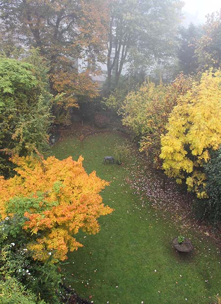 autumn garden