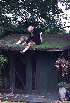 weeding roof
